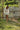JAMILA-2 Shorts